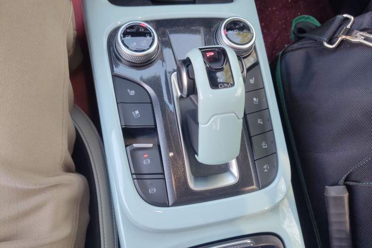 Used Tank 300 2021 City Edition 2.0T—Truly Stylish Gear Lever