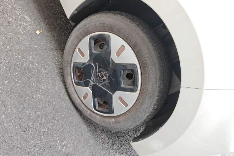 Used SOL E10X 2022 Flower Fairy Design Four-Leaf Clover