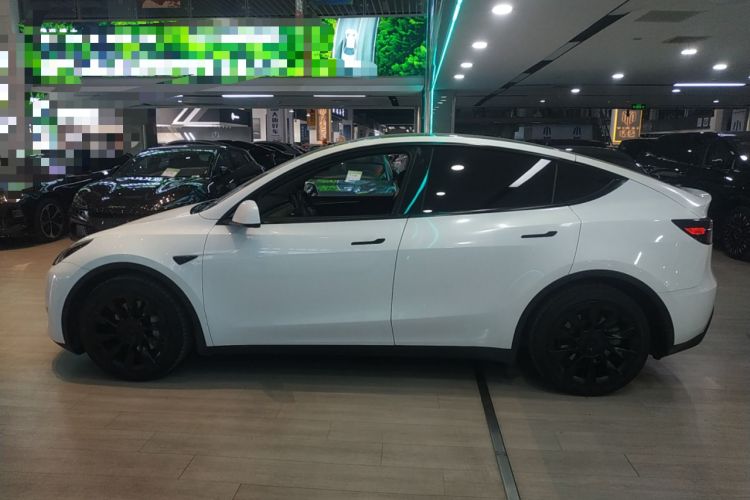 Used Tesla Model Y 2021 Standard Range Rear-Wheel Drive Version