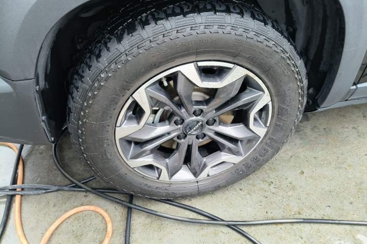 Used Haval DARGO 2024 2.0T DCT Chinese Rural Dog Edition
