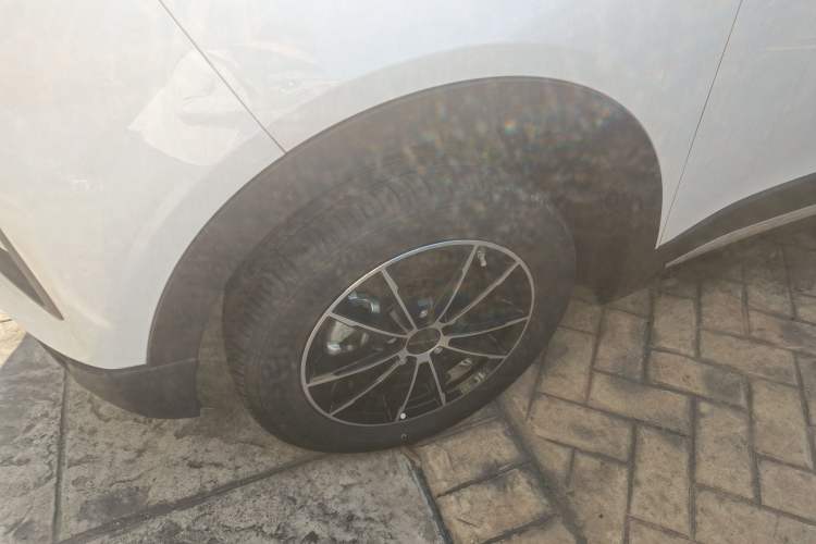 Used Dayun Yuehu 2023 300 Standard Edition
