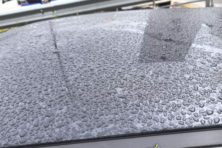 Used ORA Black Cat 2021 351 km Standard Version Roof