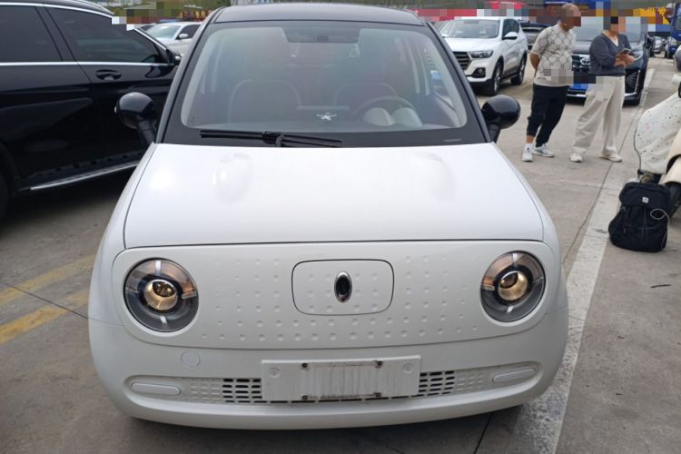 Used ORA Black Cat 2019 351 km Family Edition
