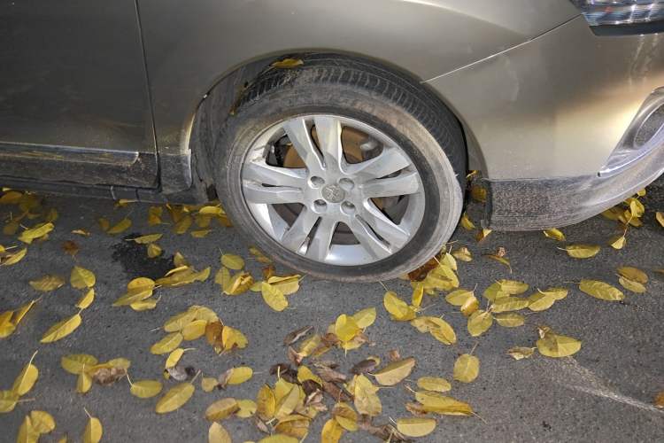 Used Peugeot 3008 2015 2.0L Automatic Trend Edition