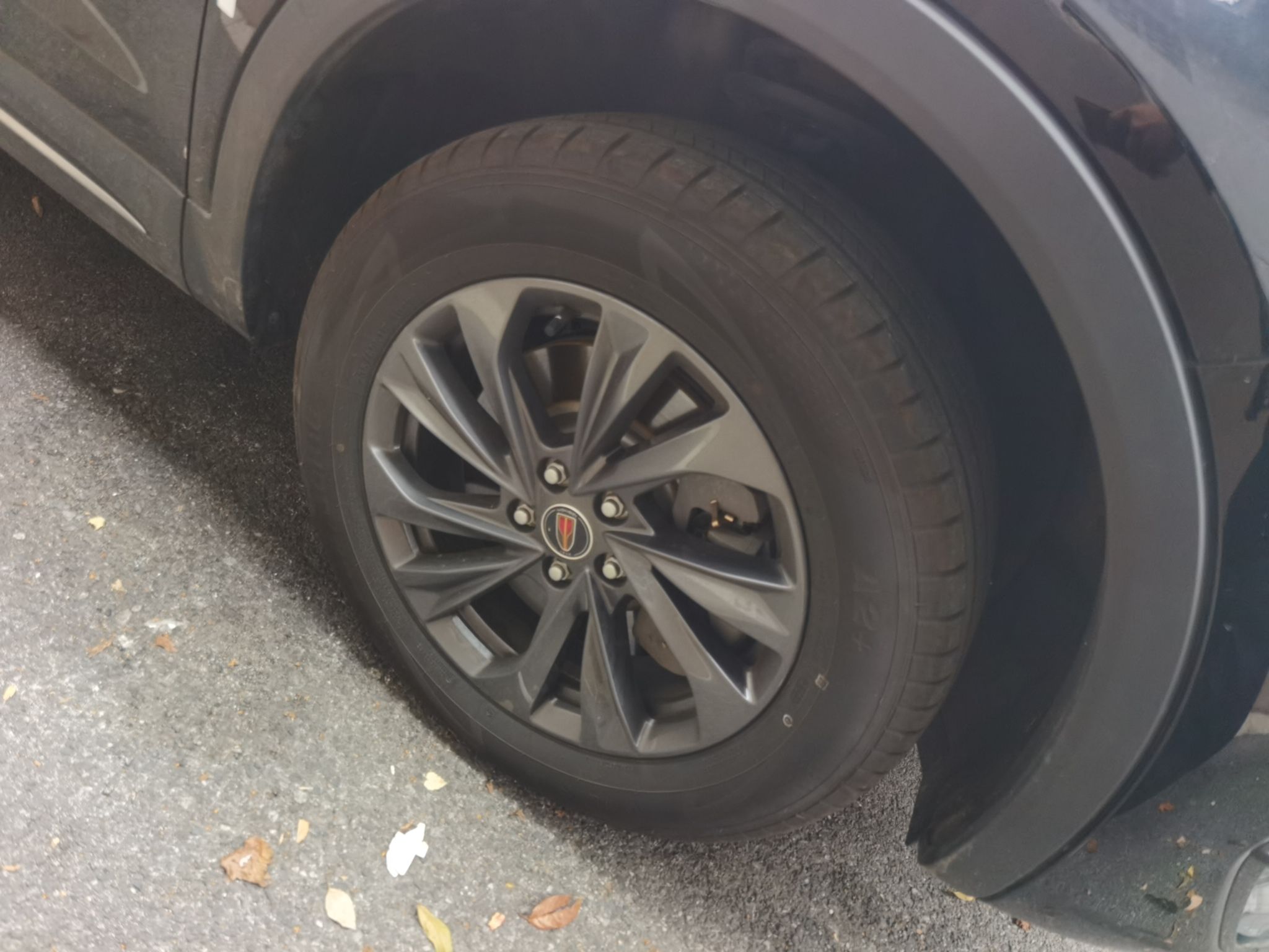 Hongqi HS5 2025 2.0T Two-Wheel Drive Flagship Pro Edition - Chinese Trim Xiang — снимка 8