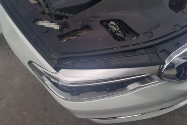 Used BMW 5 Series New Energy 2018 530Le Luxury Package
