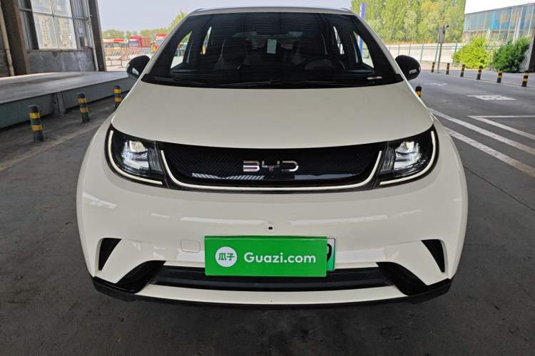 Used BYD Dolphin 2024 Honor Edition 420km Freedom Version Front