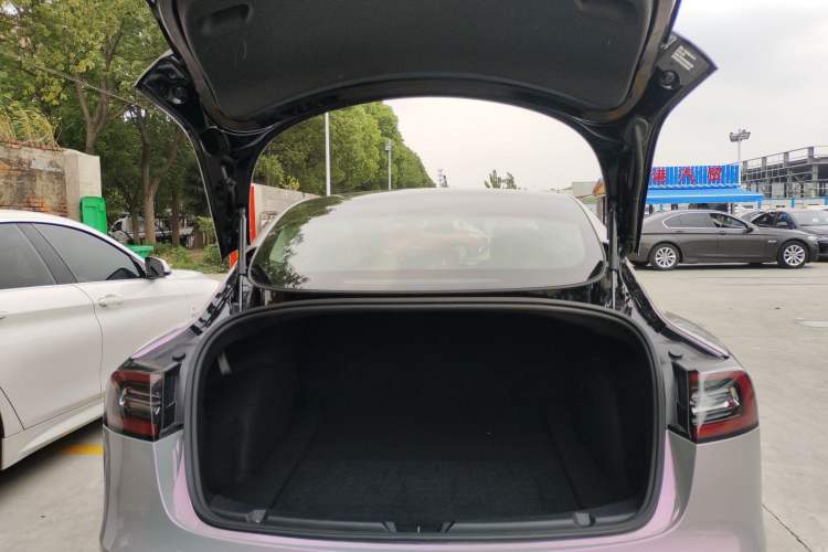 Used Tesla Model 3 2020 Revised Version Standard Range Rear-Wheel Drive – Upgraded Edition
