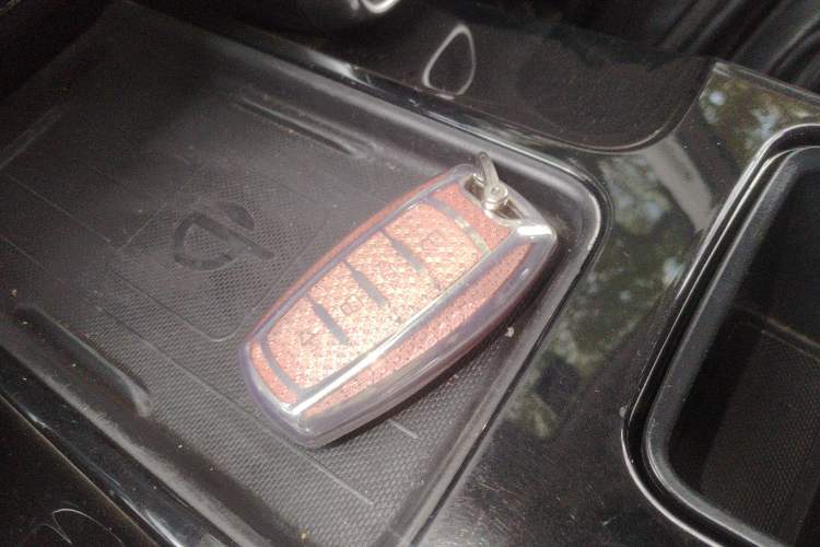 Used Haval DARGO 2022 1.5T DCT Two-Wheel Drive Border Collie Edition