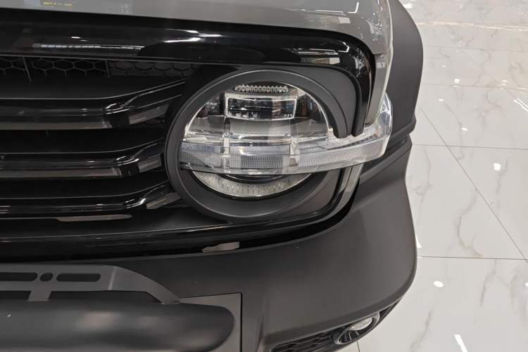 Used Tank 300 2024 2.0T Conqueror