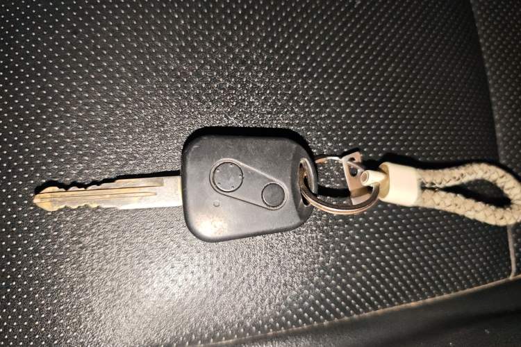 Used Jinbei Gold Hiace M Classic 2022 Panda Edition 1.5L Travel Lion Passenger Van 7 Seats