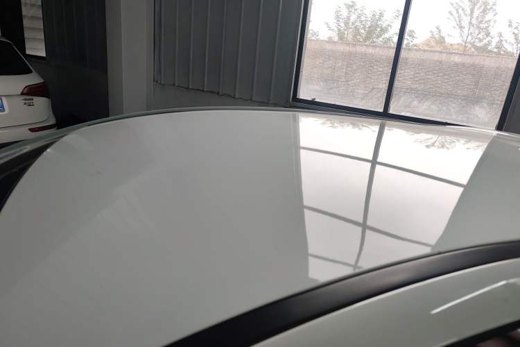 Used SOL E10X 2022 Flower Fairy Design Four-Leaf Clover Roof