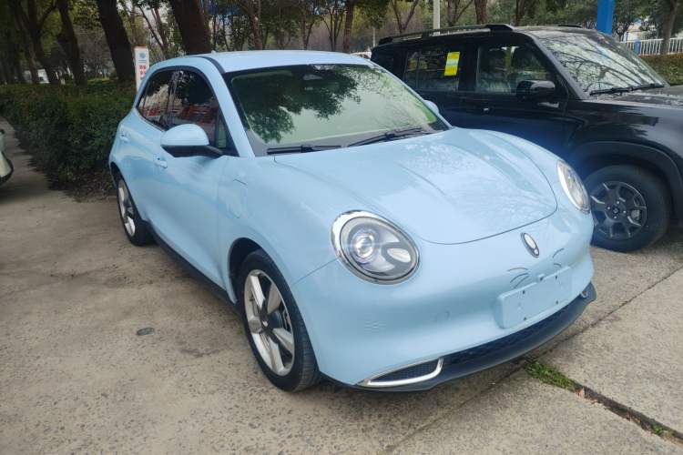 Used ORA Good Cat 2023 401 km Standard Range Luxury Version Lithium Iron Phosphate
