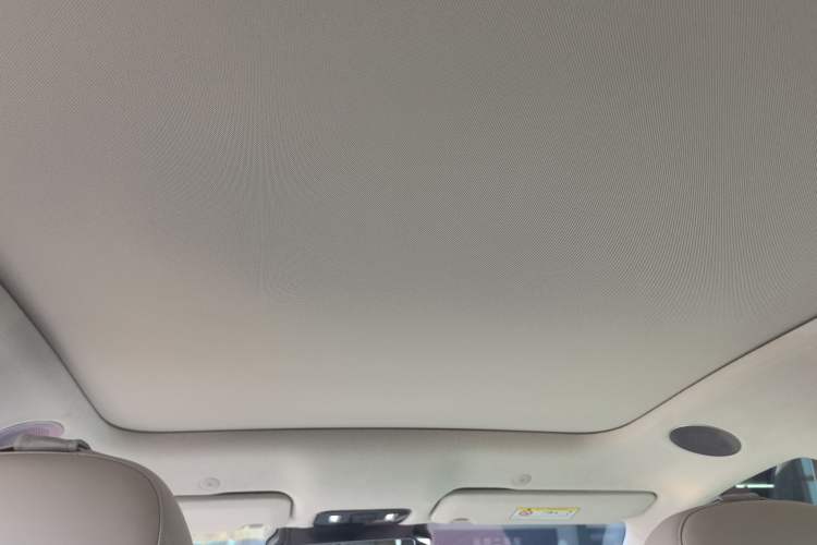 Used VOYAH COURAGE 2025 Model Rear-Drive Qiankun Edition Headliner