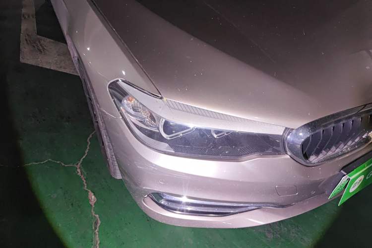 Used BMW 5 Series New Energy 2018 530Le Luxury Package