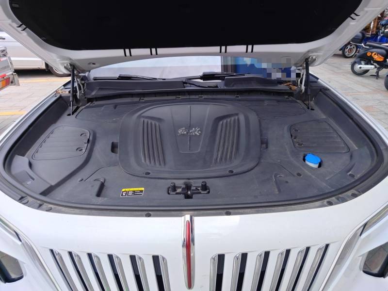 Used Hongqi E-HS9 2021 510 km Range Flagway Edition Six Seats — 10