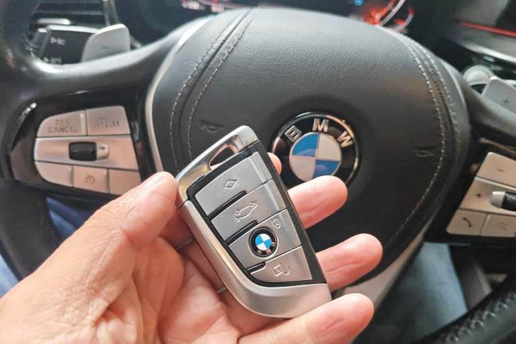 Used BMW 5 Series 2020 530Li Leading Edition Luxury Package