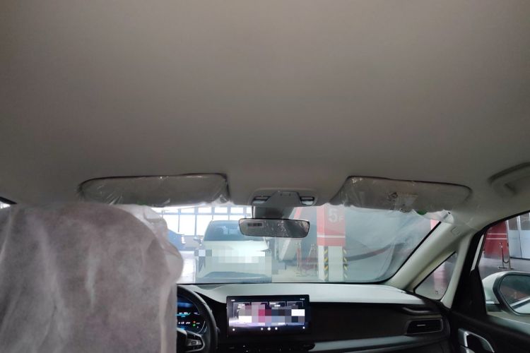 Used Livan Maple 80V 2021 Youtong Edition Ternary Lithium
