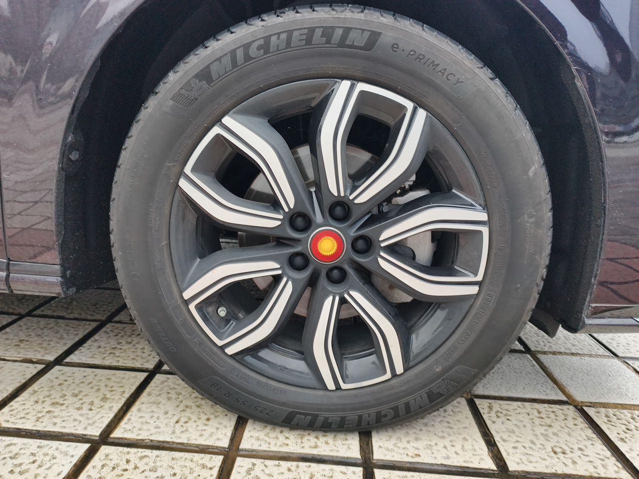 Hongqi HQ9 2023 2.0T Smart Connect Flagship Edition - Chinese Trim Xiang — снимка 8