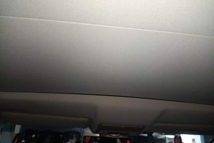 Used Land Rover Range Evoque 2014 2.0T 5-Door Luxury Edition Headliner