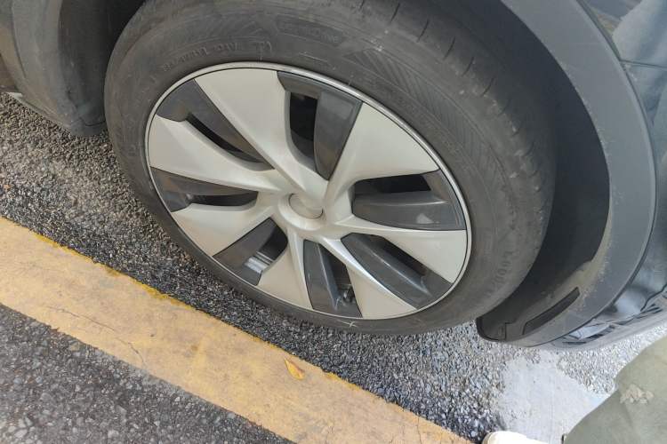 Used Tesla Model Y 2022 Revised Version Rear-Wheel Drive
