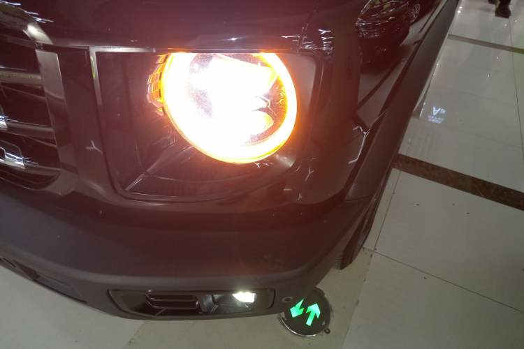 Used Haval DARGO 2022 2.0T DCT 4x4 Chinese Rural Dog Edition