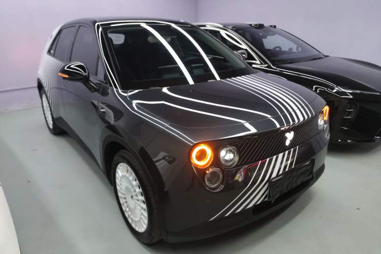 Used firefly 2025 Night Creature Special Edition
