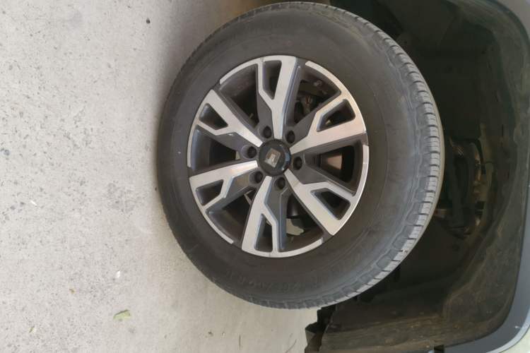 Used Tank 300 2024 2.0T Crosser