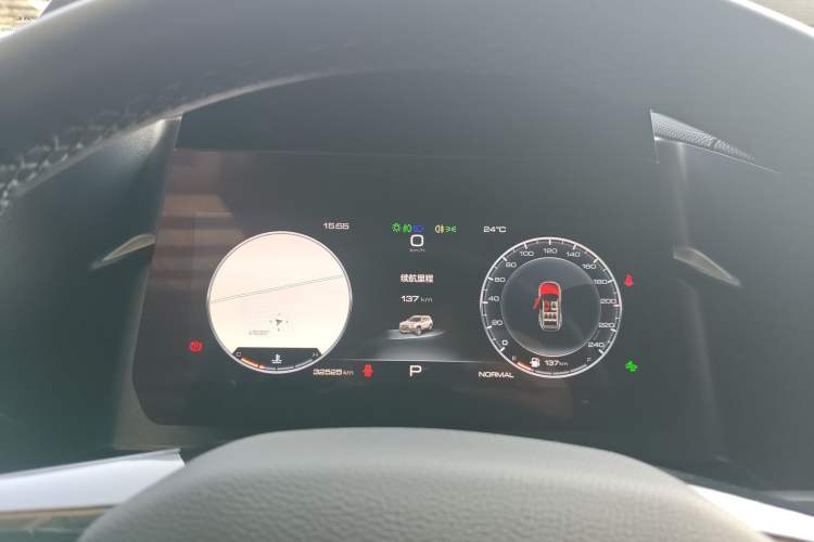 Used Haval DARGO 2024 2.0T DCT Chinese Rural Dog Edition
