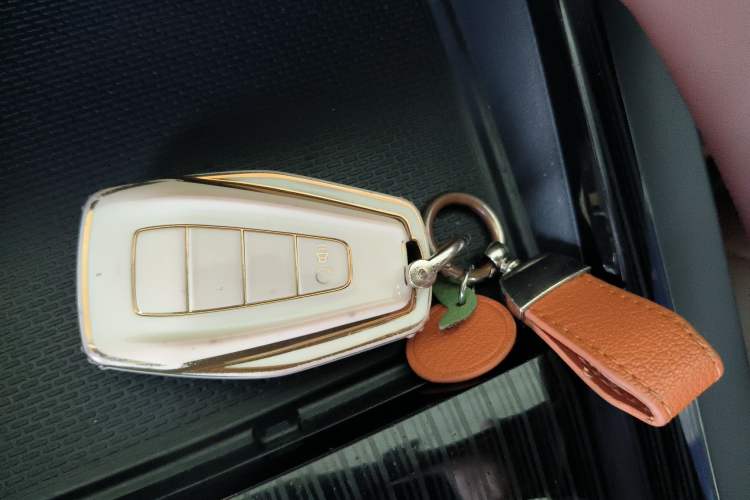 Used Geely Auto Monjaro L 2021 2.0TD DCT EVO Two-Wheel Drive Prestige Version