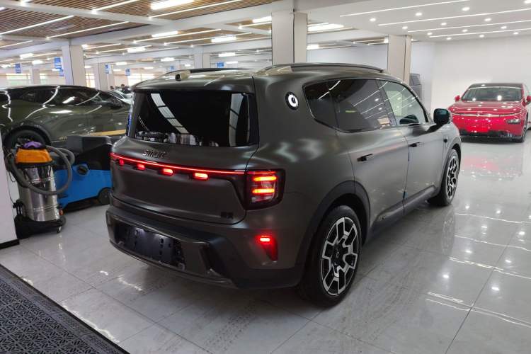 Used smart #5 2024 Jungle Realm Limited Edition