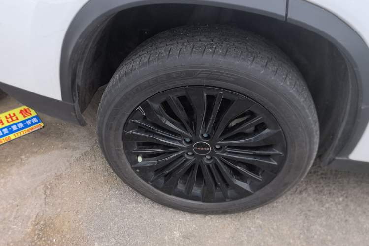 Used EXEED Lingyun 2024 300T Two-Wheel Drive Starlight Edition