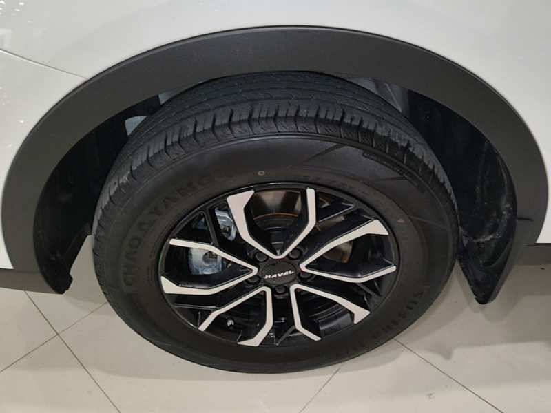 Used Haval H6 2023 National Trend Edition 1.5T Automatic Urban Version — 22