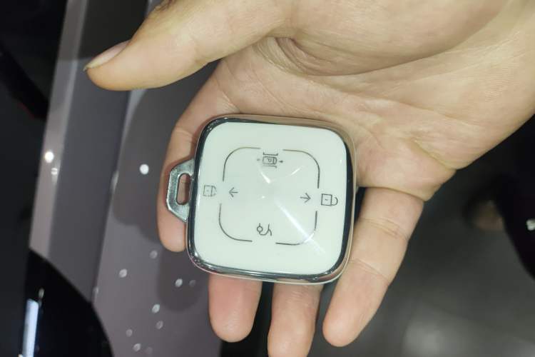 Used Zeekr X 2025 Four-Seater Rear-Drive Cube Version Vehicle Key