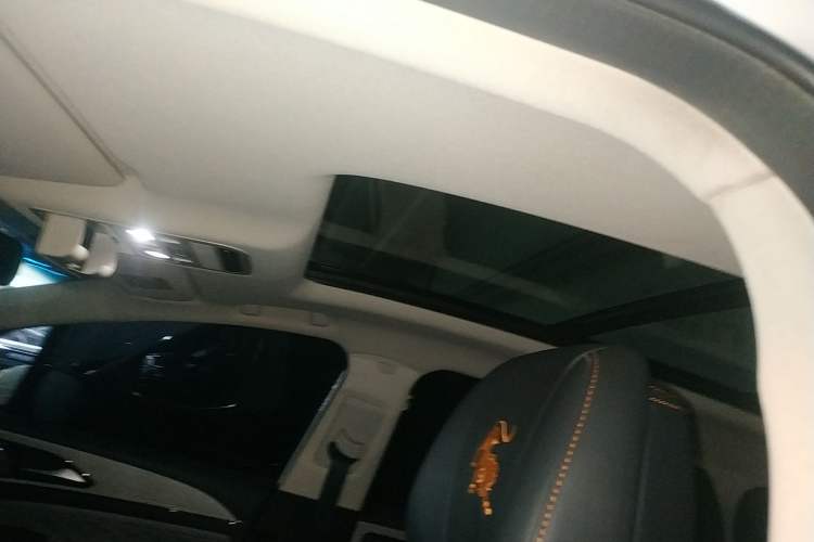 Used FORTHING Yacht 2022 1.5T DCT Chasing Wind Edition Headliner