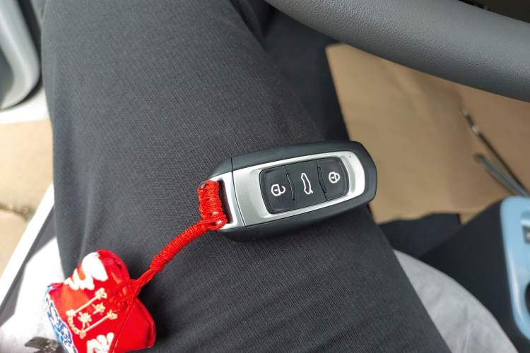 Used Geely Galaxy Panda 2024 Panda Mini 200km Endurance Bear Vehicle Key