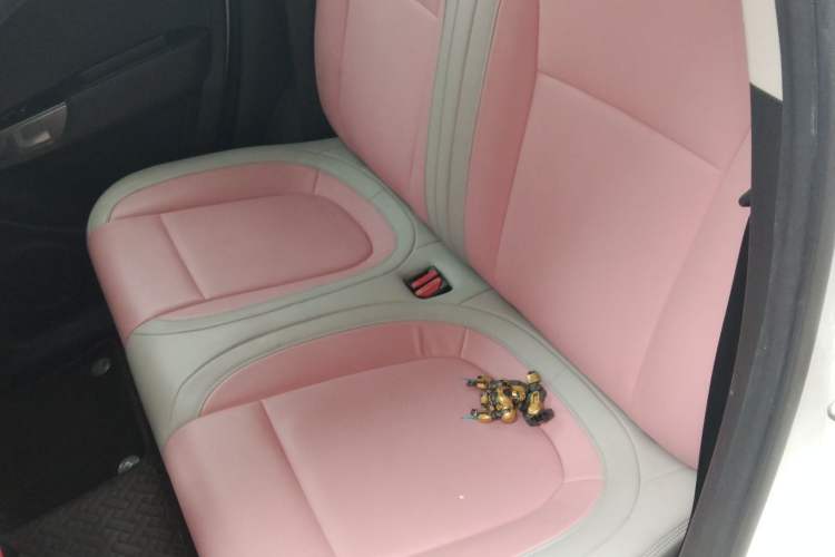 Used ORA White Cat 2020 305 km Luxury Version