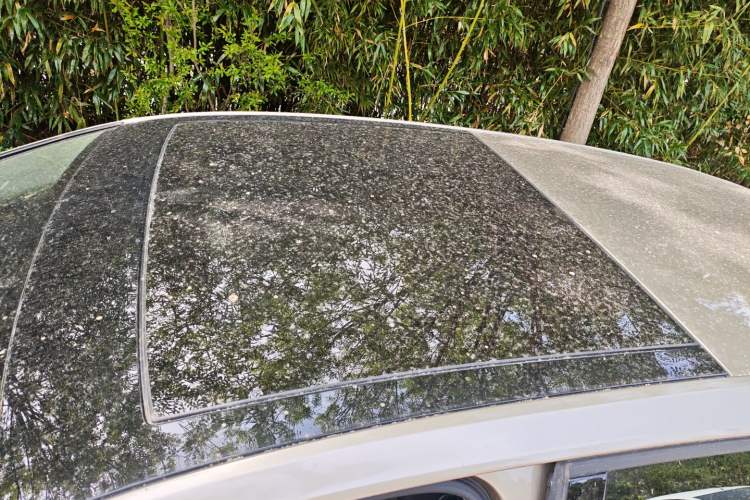 Used Volkswagen Golf 2017 1.6L Automatic Comfort Million-Vehicle Anniversary Edition