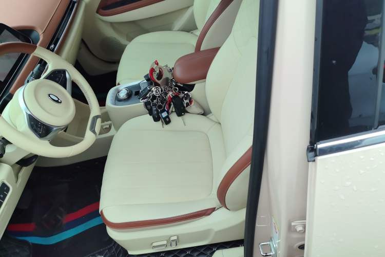 Used ORA Good Cat 2022 Morandi Edition 400km Standard Range Luxury Version Lithium Iron Phosphate