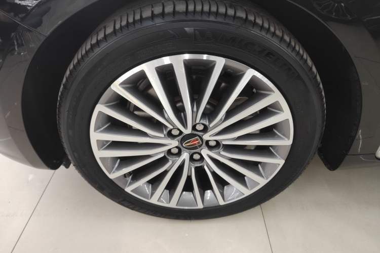 Used Hongqi H9 2020 2.0T Smart Connect Flagship Edition