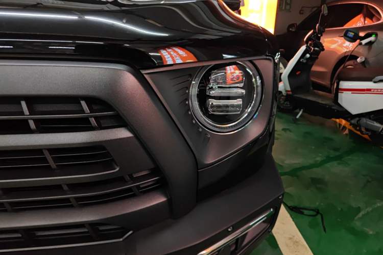 Used Haval DARGO 2024 2.0T DCT Chinese Rural Dog Edition
