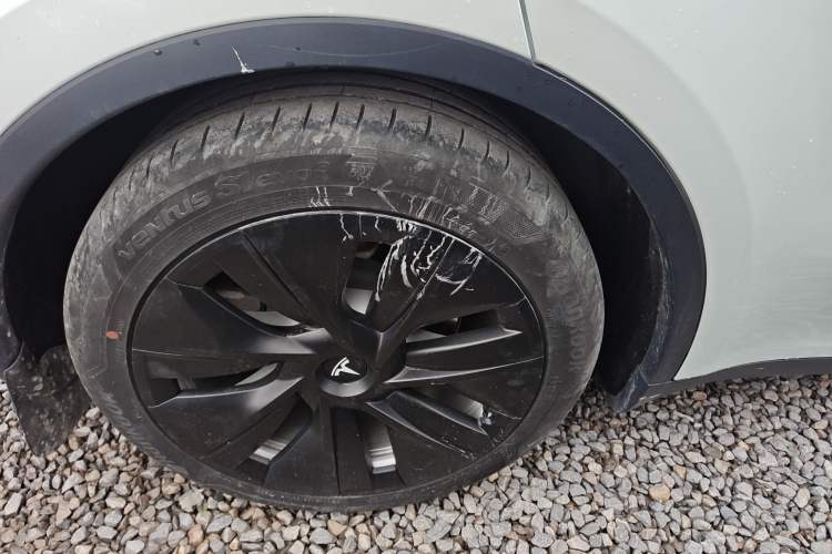 Used Tesla Model Y 2022 Rear-Wheel-Drive Version