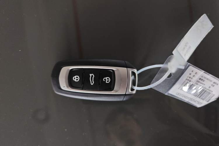 Used Geely Auto Panda 2025 210km Panda Rider
