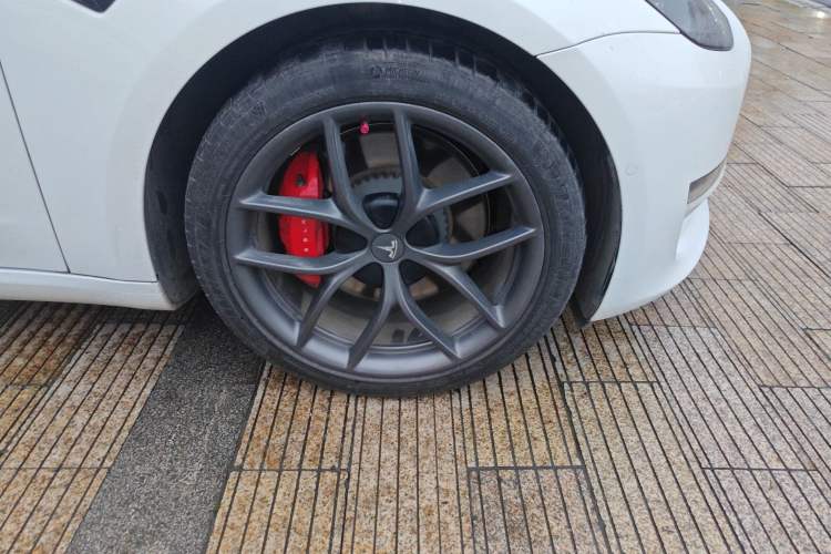 Used Tesla Model 3 2022 Performance High-Performance All-Wheel-Drive Version Exterior 7