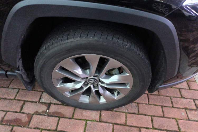 Used Toyota Wildlander 2023 2.0L CVT Two-Wheel Drive Leading Edition
