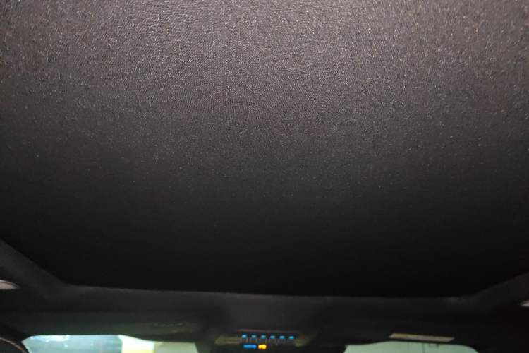 Used Ford F-150 Raptor 2023 3.5T Raptor Headliner