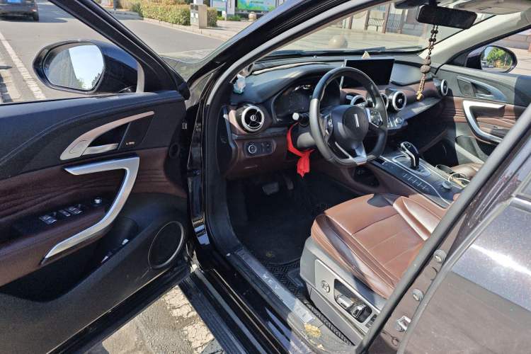 Used Wey VV7 2020 2.0T Flagship Edition
