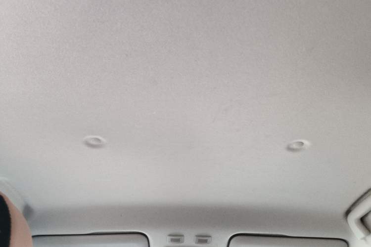 Used ORA Black Cat 2021 301km Cute Pet Edition