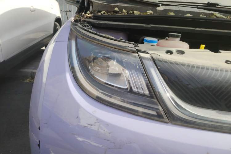 Used BYD Dolphin 2023 420 km Free Version