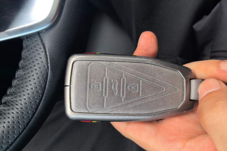 Used Venucia V 2022 260T Black Horse Edition · Idol